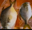 翔泰 海南金鯧魚凈重900g 2條裝  魚類生鮮 燒烤 火鍋食材 海鮮水產(chǎn) 曬單實(shí)拍圖