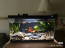 秋田滿滿兒童方便面非油炸高鈣早餐雞蛋面360g 煮泡面可干拌袋裝外出便攜 曬單實拍圖