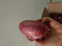 新鮮 山東二紅扁洋蔥肉厚  扁洋蔥生吃扁洋蔥扁形紫皮圓蔥不辣 精品5斤中扁洋蔥 曬單實(shí)拍圖