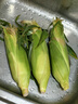 京鮮生云南水果玉米5斤 鮮甜玉米棒 甜脆多汁 新鮮蔬菜 源頭直發(fā)包郵 曬單實拍圖