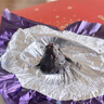 歌帝梵（Godiva）經(jīng)典混合巧克力高端禮盒 19顆165g 休閑零食 伴手禮 生日禮物 曬單實(shí)拍圖