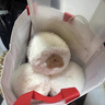 恒源祥珊瑚絨毛線(xiàn)圍巾手工編織送女友diy織線(xiàn)細毛線(xiàn)團寶寶絨柔軟絨絨線(xiàn) 珊瑚絨圍巾成品(備注顏色) 曬單實(shí)拍圖