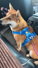 拉夫威爾ruffwear福朗特胸背狗狗胸背帶大小型犬拉布拉多背心式牽引背帶 海岸山脈 S 曬單實(shí)拍圖