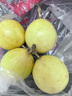 廣西欽蜜9號黃金百香果萬(wàn)澄當季新鮮大果黃皮果奶茶店水果 【1斤 約11-17個(gè)】單果30-45g 曬單實(shí)拍圖