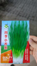 【春菜】耐熱耐寒四季小香蔥種子易種盆栽蔬果種籽 四季小香蔥【易種】沾土發(fā)芽 【四季可種】原裝精選1包約800粒 曬單實(shí)拍圖