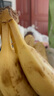 優(yōu)衣庫女裝竹節(jié)紗V領T恤/短袖棉白T上衣打底內搭春夏新款483576 00 白色 L /160/88A 曬單實拍圖