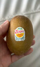 佳沛（zespri）新西蘭  陽(yáng)光金奇異果10粒禮盒巨大果單果約144-175g 水果 獼猴桃 曬單實(shí)拍圖