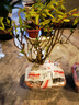 微小石榴樹(shù)苗結果盆景提根造型小品素材花卉園藝綠植物矮霸樁盆栽可以聯(lián)系客服選圖片 一物一拍207 帶盆栽好 曬單實(shí)拍圖