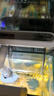 森森（SUNSUN）魚缸過濾器壁掛式外置過濾泵水族箱過濾器HBL HBL-302 3W 曬單實(shí)拍圖