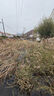 YEE加熱棒小型魚缸加溫棒自動恒溫智能迷你烏龜加熱器龜缸低水位25w 曬單實拍圖