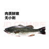 鮮活鱸魚(yú)400-500g/條 曬單實(shí)拍圖