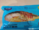 海名威 冷凍黃花魚700g/2條 寧德大黃魚地標 海鮮水產(chǎn) 生鮮魚類  曬單實拍圖
