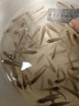 正宗鱸魚(yú)苗批發(fā)魚(yú)苗活體淡水養殖加州鱸魚(yú)苗10公分特大號兇猛大口黑鱸淡水魚(yú)苗 鱸魚(yú)苗6-8cm 100條（送10%左右） 曬單實(shí)拍圖