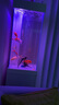 瑞龍智能魚(yú)缸水族箱小型客廳落地靠墻家用造景超白玻璃生態(tài)底濾金魚(yú)缸 50cm長(zhǎng)肌膚白+超白玻璃+觸控顯示屏 40cm寬*155cm高（缸高90+柜高65） 曬單實(shí)拍圖
