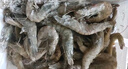 海之幫新鮮青島大蝦超大蝦凍蝦白蝦鮮活冷凍對蝦大號青蝦海鮮批發(fā) 16-18厘米活蝦速凍 3斤(凈重) 曬單實(shí)拍圖