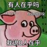 如薇（RNW）雙色清潔泥膜毛孔去油黑頭黑泥60g補水修護白泥60g涂抹面膜保濕 曬單實拍圖