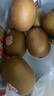 佳沛（zespri）新西蘭  陽光金奇異果巨大果22粒原箱 單果重約144-175g 獼猴桃 曬單實拍圖