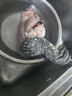 龍?jiān)歹r新鮮現(xiàn)殺帶皮鱷魚(yú)人工養(yǎng)殖食用鱷魚(yú)尾鱷魚(yú)腿生鮮鱷魚(yú)肉春節(jié)送禮 新鮮鱷魚(yú)腿肉5斤裝 曬單實(shí)拍圖