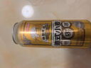 京東京造德式小麥精釀全麥釀造啤酒500ml*12整箱濃郁麥香 曬單實(shí)拍圖