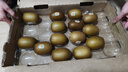 佳沛（zespri）新西蘭  陽(yáng)光金果22粒原箱 單果重144-175g 獼猴桃 中秋水果禮盒 曬單實(shí)拍圖