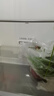 華凌326升美的出品法式多門一級能效雙變頻風冷家用電冰箱節(jié)能保鮮凈味冰箱BCD-326WFPH國家補貼20% 曬單實拍圖