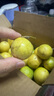 果益壽廣西欽蜜9號(hào)黃金百香果 新鮮水果白香果醬原漿整箱 超值30枚裝【單果30g以下】 曬單實(shí)拍圖