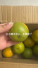 正宗湖北夏橙臍橙（榨汁橙） 湖北橙 帶箱2斤 曬單實拍圖