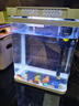 寵街坊小魚(yú)缸一體缸自循環(huán)水族箱桌面客廳小型送禮生態(tài)魚(yú)缸造景240 曬單實(shí)拍圖