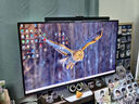 雷鳥(niǎo)32U8 31.5英寸4K165Hz高刷電競顯示器 1400分區QD-MiniLED HDR1400 Type-C 90W Switch2游戲顯示屏 31.5英寸/4K165Hz/直面屏/內置音響 曬單實(shí)拍圖