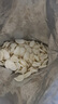 禧天龍塑料衣物收納箱玩具整理箱55L 透明 1個裝 帶輪 曬單實拍圖