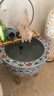 流水趣陶瓷古法魚(yú)缸流水擺件循環(huán)水流水器睡蓮缸荷花缸老式大水缸 60cm套組+水月觀(guān)音+燈圈（含缸） 曬單實(shí)拍圖