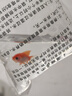 三色錦鯉魚活體觀賞魚活魚小型大型易養(yǎng)冷水淡水魚錦鯉易活金魚 3-5CM冷水鸚鵡一條 曬單實拍圖