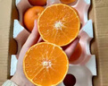 京鮮氣正宗四川愛(ài)媛果凍橙38號特產(chǎn)橙當季新鮮水果精選孕婦水果整箱柑橘 精選大果10斤【無(wú)禮盒裝】 曬單實(shí)拍圖