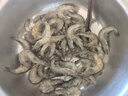 賣(mài)魚(yú)郎先生蝦 青島鹽凍大蝦凈重3.6斤 25-30只/斤 青蝦海蝦生鮮 蝦類(lèi) 曬單實(shí)拍圖