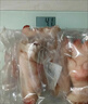 【順豐】10只生豬蹄豬腳豬爪豬蹄小肥蹄散養土豬肉冷凍豬蹄鹵豬蹄 帶筋土豬蹄1只【冷鏈速發(fā)】 曬單實(shí)拍圖