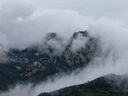 山山全自動(dòng)防曬遮陽(yáng)男女兩用晴雨傘加厚結實(shí)抗風(fēng)大號144骨梧桐米 曬單實(shí)拍圖