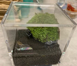 丘辰無(wú)蟹可擊苔蘚微景觀(guān)生態(tài)瓶DIY辦公室內桌面小盆栽綠植螃蟹缸禮物 無(wú)蟹可擊（螃蟹缸） 曬單實(shí)拍圖