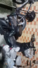 綠源新國(guó)標(biāo)電動(dòng)自行車LIVA7豪華版【續(xù)航70km-48V24A星恒鋰電】NFC智能解鎖前碟后陶液冷電機(jī)保十年 綠 曬單實(shí)拍圖