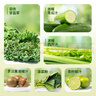 壽全齋羽衣甘藍(lán)青瓜水無(wú)糖茶飲料蔬菜汁涼茶整箱大瓶養(yǎng)生水 750ml*12瓶 曬單實(shí)拍圖