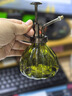 沃施（WORTH）玻璃噴壺北歐復古小噴壺家用多肉澆花神器霧化噴瓶消毒噴壺器園藝 250ml軍綠色玻璃噴瓶 曬單實(shí)拍圖