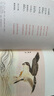 詩經(jīng)（全本全注全譯全彩圖本）（盒裝全三冊） 曬單實拍圖