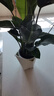 植男植女天堂鳥盆栽客廳室內(nèi)好養(yǎng)大型落地綠植辦公室大葉鶴望蘭源頭直發(fā) 曬單實(shí)拍圖