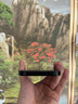 Apple【國行補(bǔ)貼】iPhone 16Pro Max 蘋果16Promax 國行 5G 蘋果手機(jī) 黑色鈦金屬【618大促】 256GB【0首付+24期免息+豪華大禮包】 曬單實(shí)拍圖