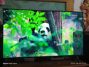 飛利浦（PHILIPS）55英寸游戲電視120Hz超薄護(hù)眼智慧屏杜比視界4+64G智能平板電視55PUF8399/T3二級(jí)能效國家補(bǔ)貼15% 曬單實(shí)拍圖