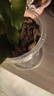 史丹利（STANLEY）蘭花專(zhuān)用土君子蘭蝴蝶蘭營(yíng)養土松樹(shù)皮泥炭種植盆栽養花土壤10L 曬單實(shí)拍圖