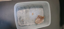 春禾秋牧 阿根廷潘帕斯原切小牛排10片/1kg 進(jìn)口牛肉生鮮 健身 七夕禮物 曬單實拍圖