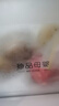 京鮮生蜜蜂授粉牛三蜜瓜網(wǎng)紋瓜  凈重4.5-5斤 2-3粒中秋禮品源頭直發(fā) 曬單實(shí)拍圖