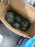 京鮮匠山東正宗貝貝南瓜 粉糯香甜小南瓜 新鮮蔬菜 源頭直發(fā) 實(shí)惠裝 凈 4.5斤 (4-9個) 曬單實(shí)拍圖