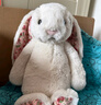 Jellycat花布邦尼兔動物毛絨玩偶兔子玩偶兒童禮物娃娃生日新婚禮物 白芮（乳白色） Medium 曬單實拍圖