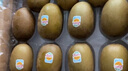 佳沛（zespri）新西蘭陽光金果10個裝單果重約85-103g 水果 獼猴桃 源頭直發(fā) 曬單實拍圖